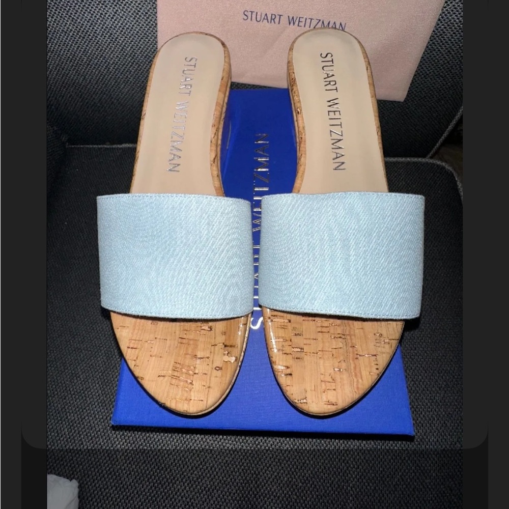 Stuart Weitzman Women's Blue Slide Sandals
